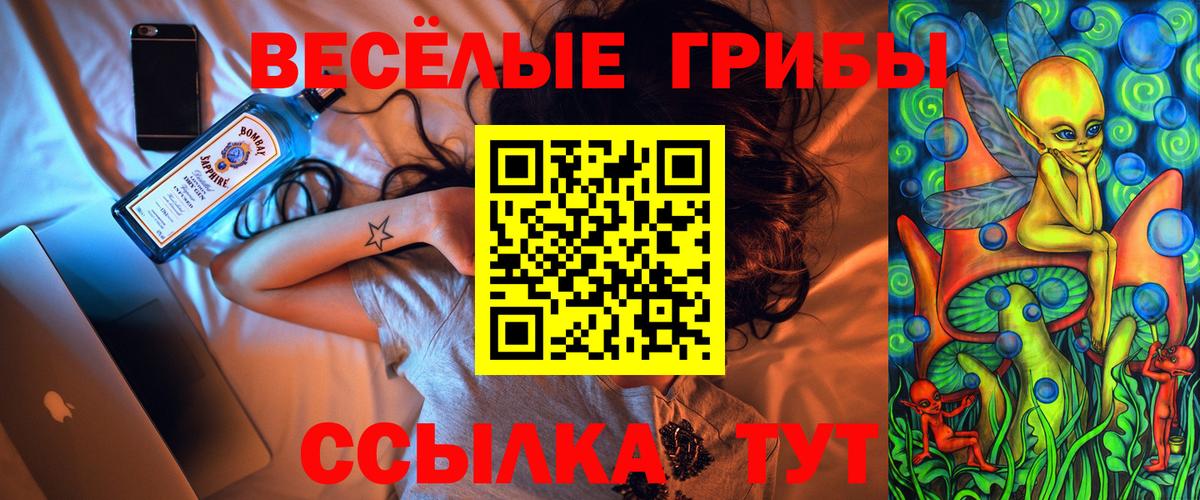 Псилоцибиновые грибы GOLDEN TEACHER Томск