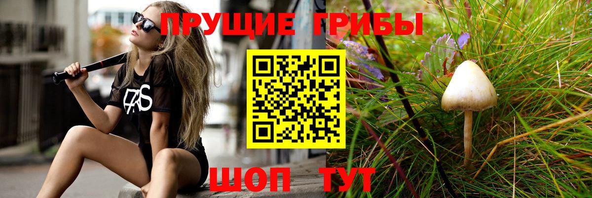 Томск  Псилоцибиновые грибы GOLDEN TEACHER  Вход с VPN  хочу наркоту  Галлюциногенные грибы Magic Shrooms 
