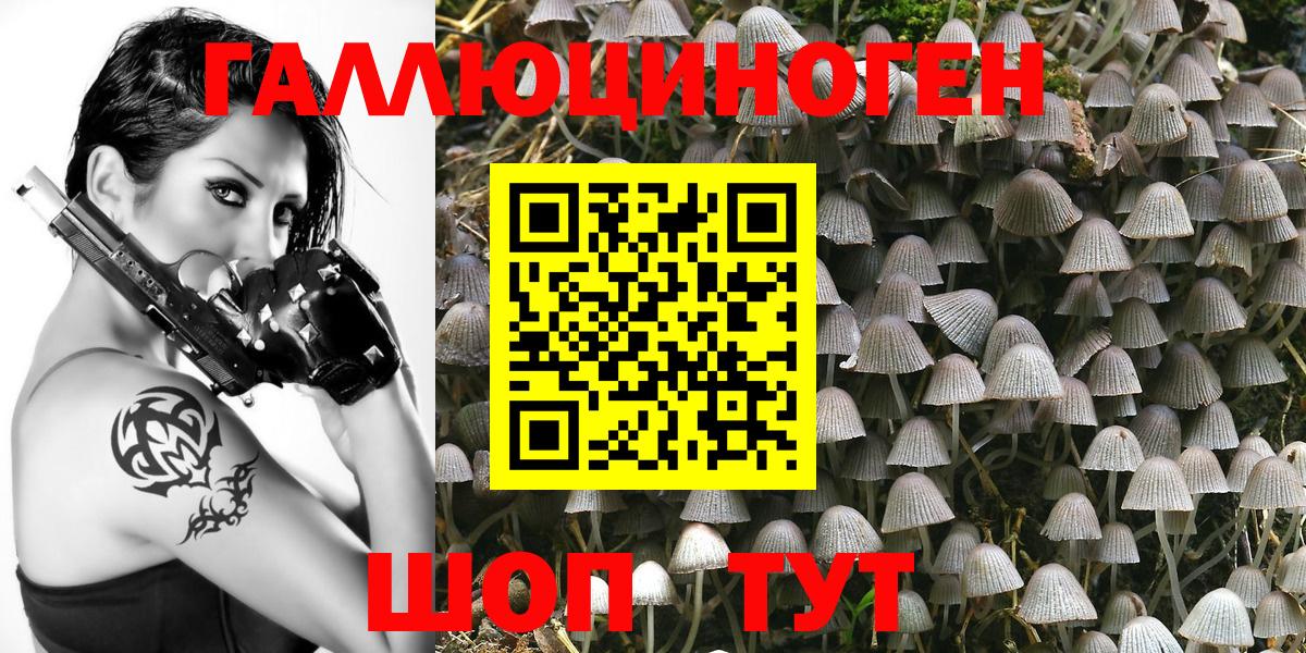 купить наркотики сайты  Томск  Галлюциногенные грибы Cubensis 